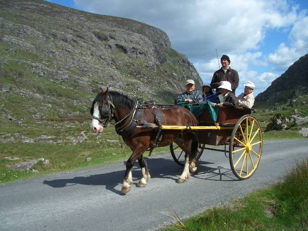 Jaunting Car