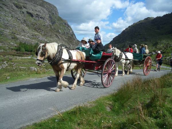 Jaunting Cars