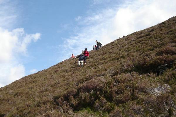 Down off Purple Mountains