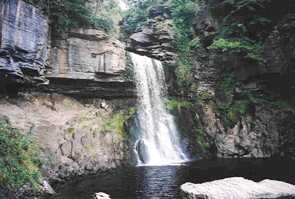 Thornton Force - can you spot Alan and Martin behind the falls?