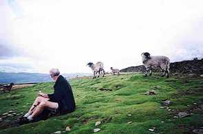 The sheep go away disappointed as Peter keeps his lunch to himself!